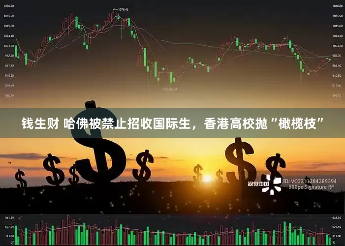 钱生财 哈佛被禁止招收国际生，香港高校抛“橄榄枝”