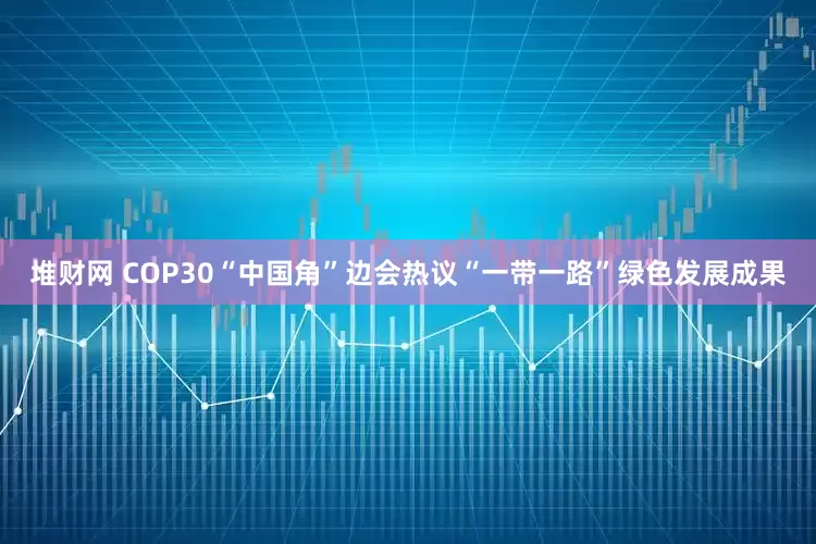 堆财网 COP30“中国角”边会热议“一带一路”绿色发展成果